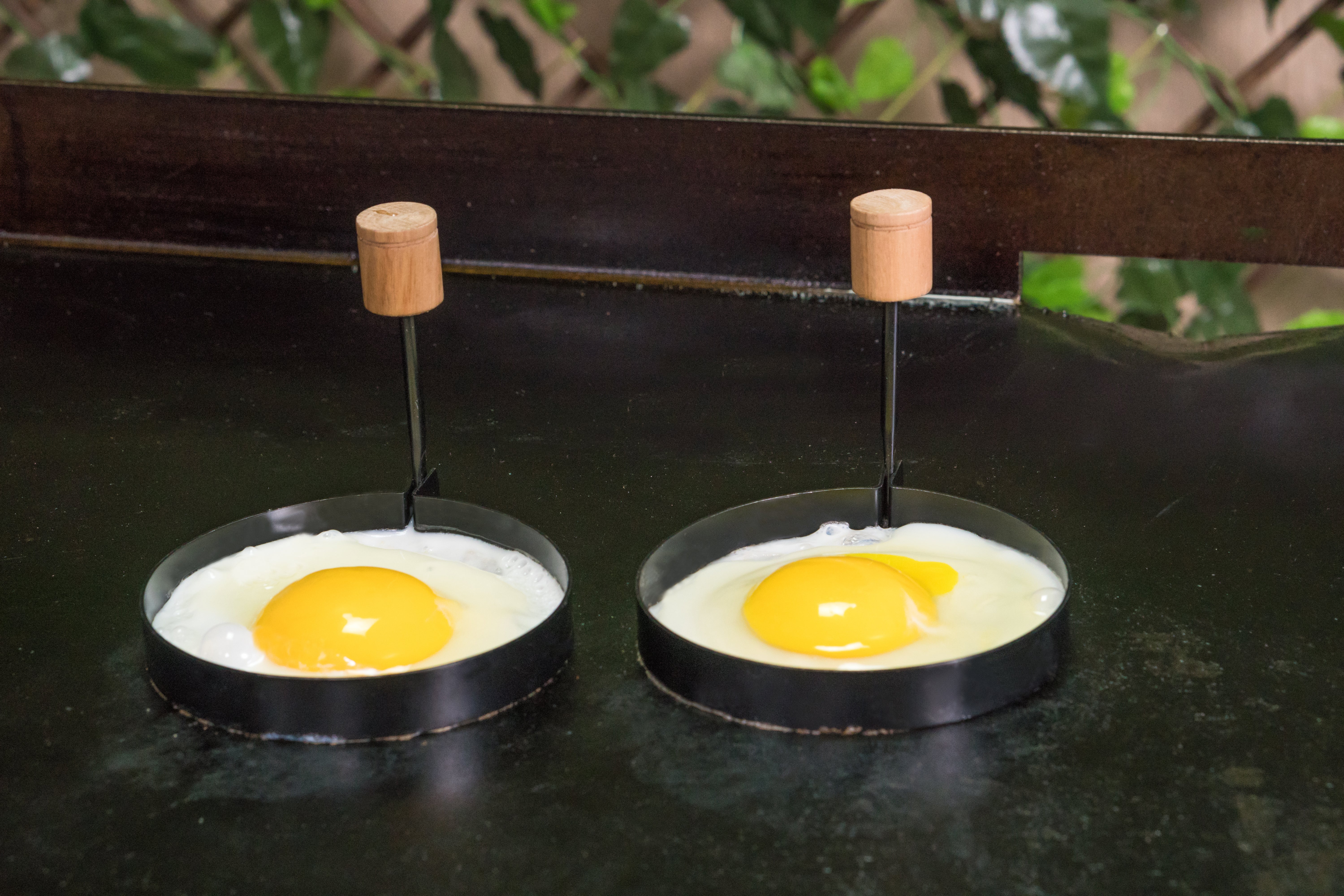 Blackstone Breakfast Kit