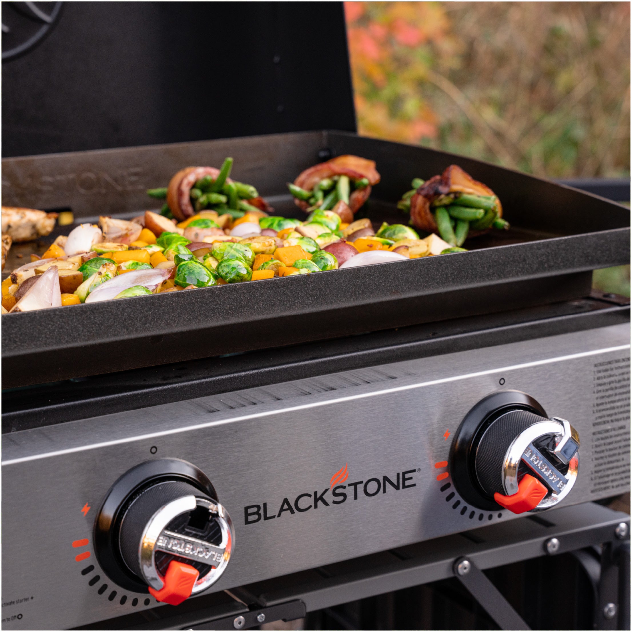 Blackstone Table Top Griddle With Cooking Hood - 22" (257-2144EU)