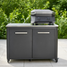 Cozze G-500 Dual Burner Gas Grill - 51 × 39 cm (Cooking Area) Cozze Dream