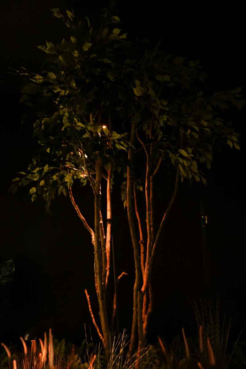 Hudson Lighting Multi Stem Master - IP68 Hudson Lighting