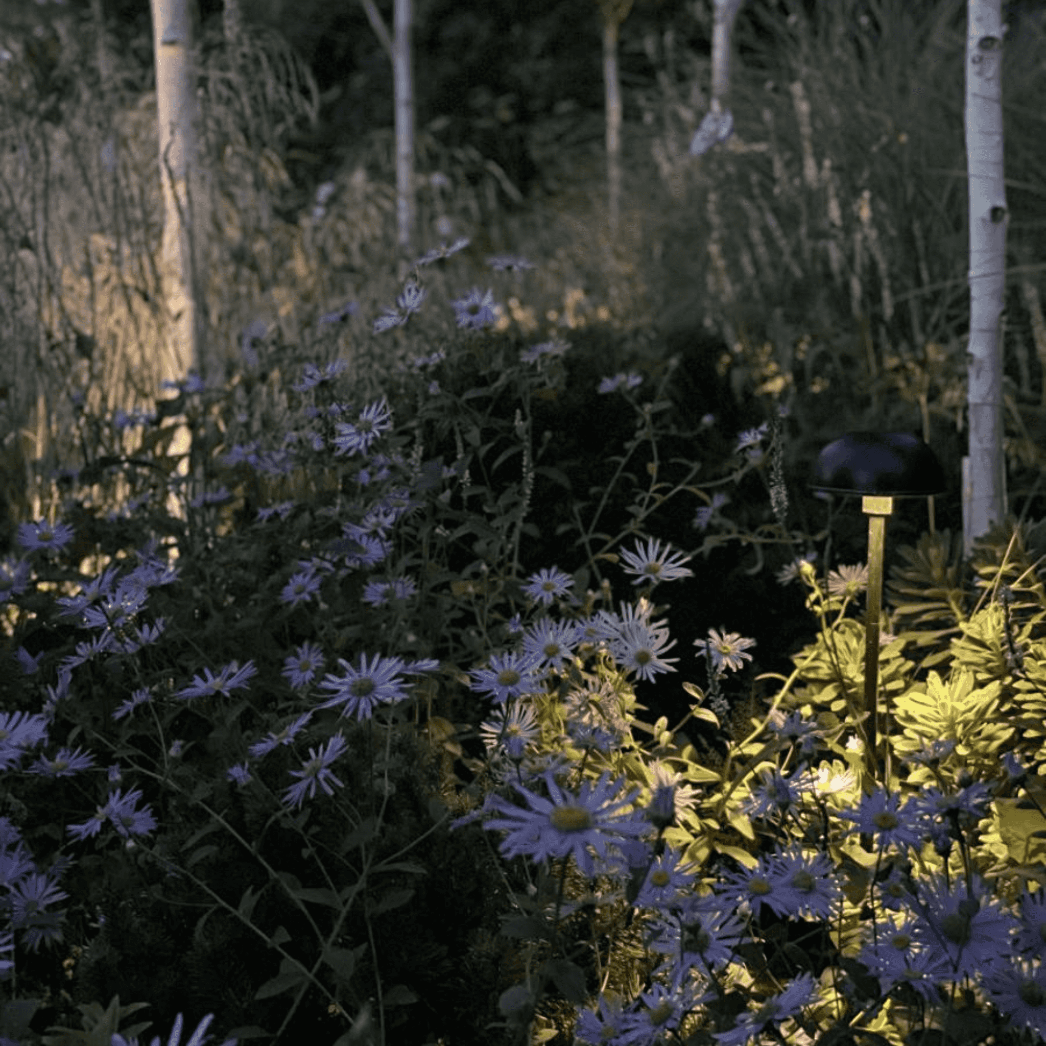 Hudson Lighting Planting Light - IP68 Hudson Lighting