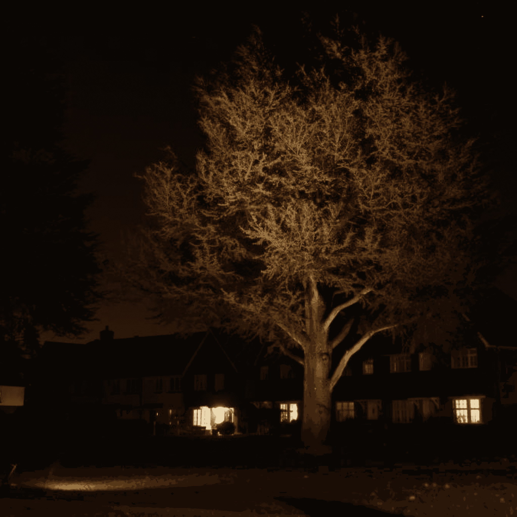 Hudson Lighting Maxi Spike Spot - IP68 Hudson Lighting