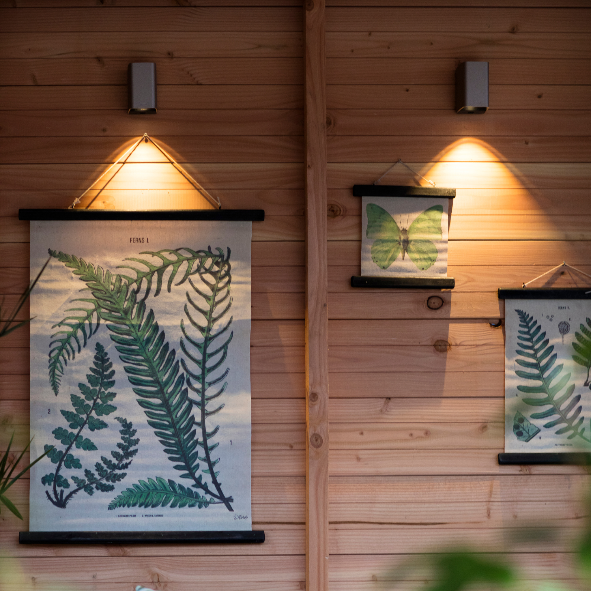 IN-LITE Ace Down 12v Wall Light - Dark Grey