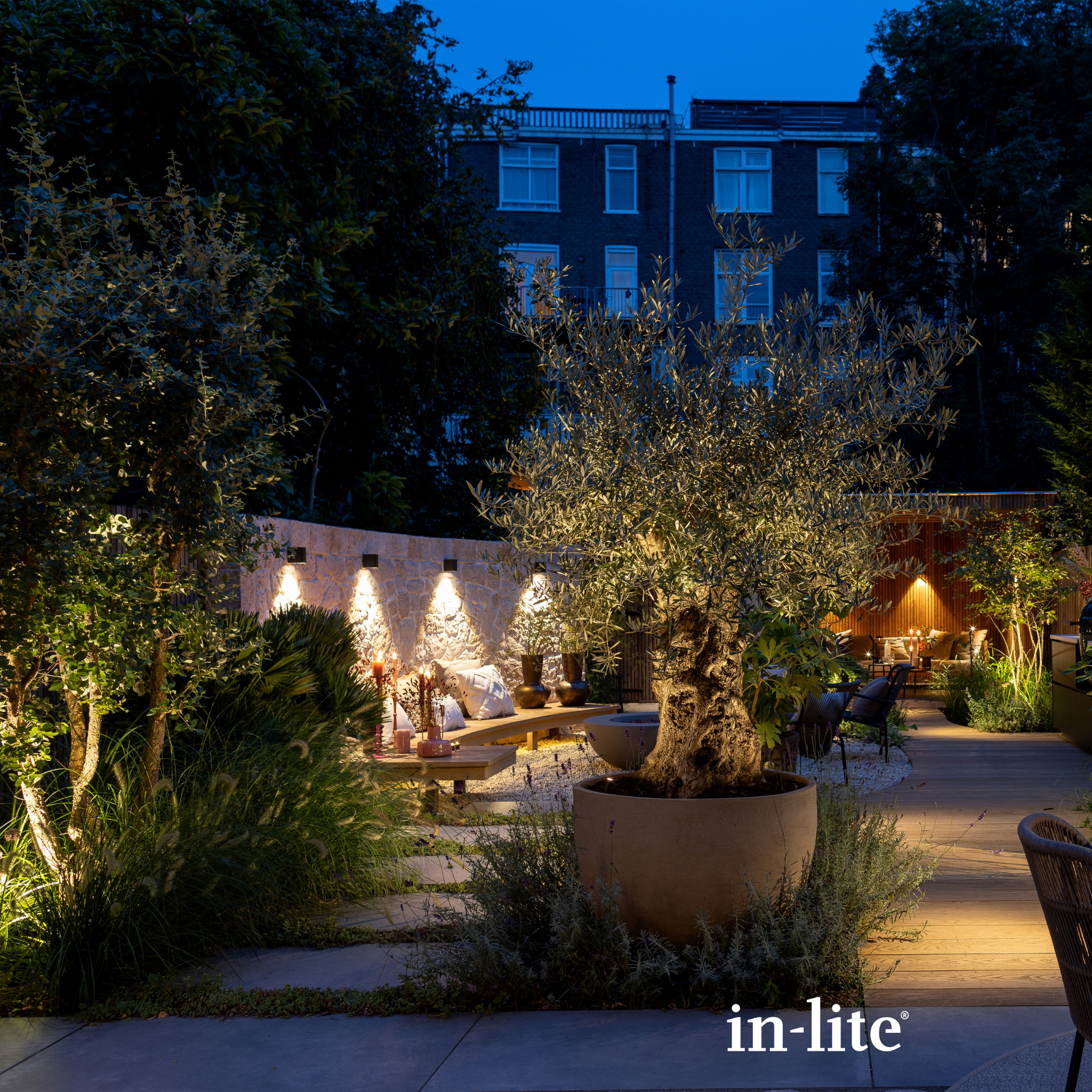 IN-LITE Ace Down 12v Wall Light - Dark Grey