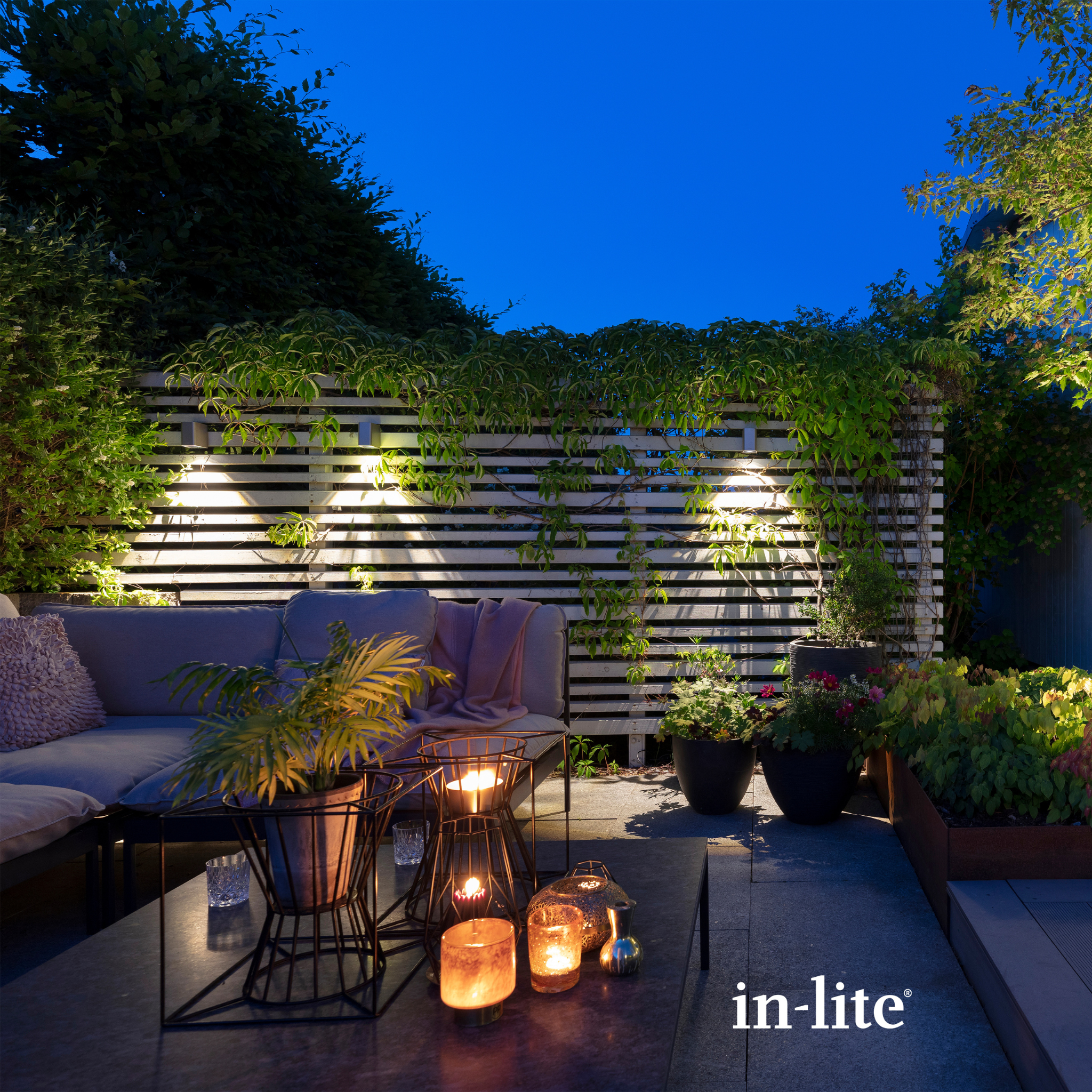 IN-LITE Ace Down 12v Wall Light - Dark Grey