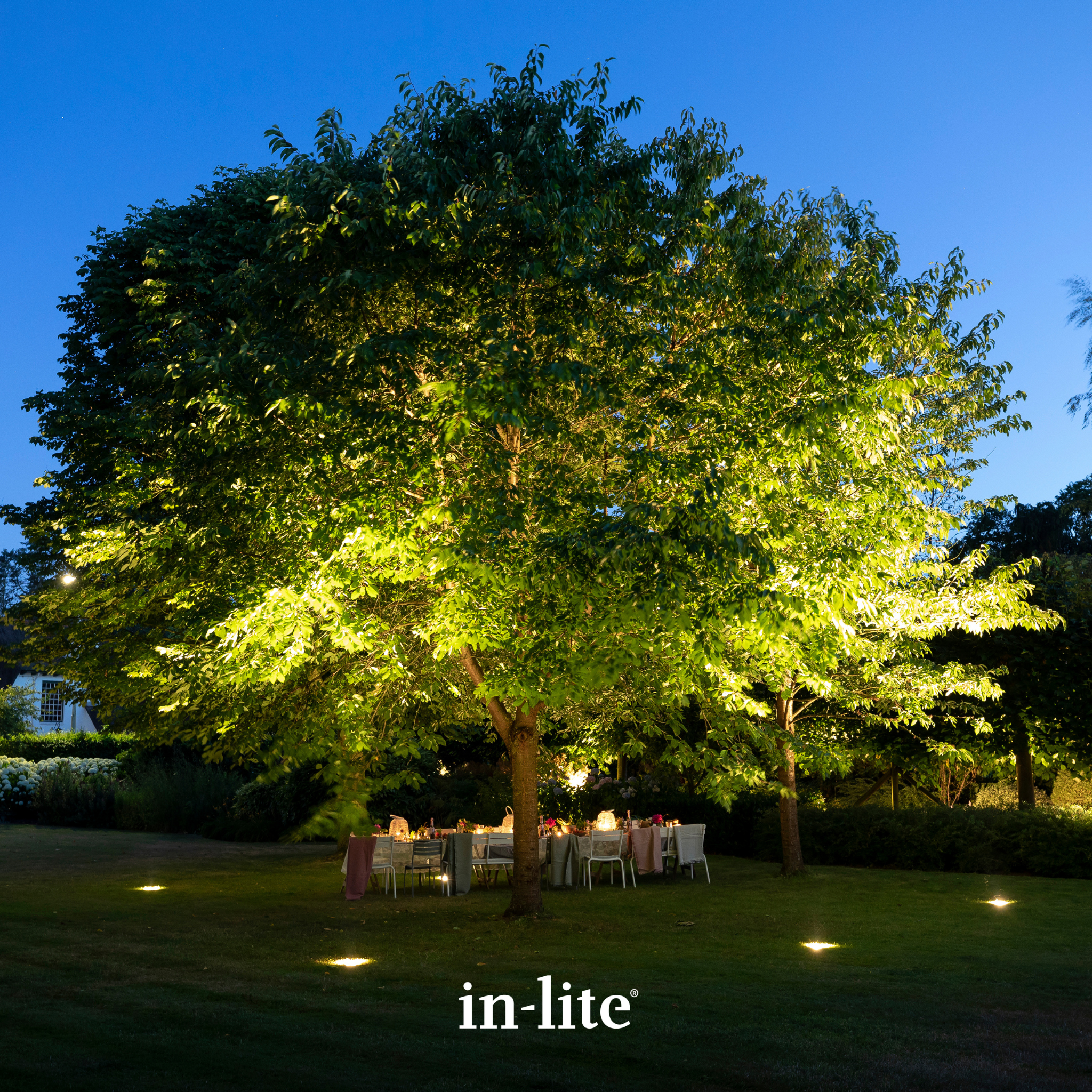 IN-LITE Big Nero 12v Tilting Recessed Light - Black