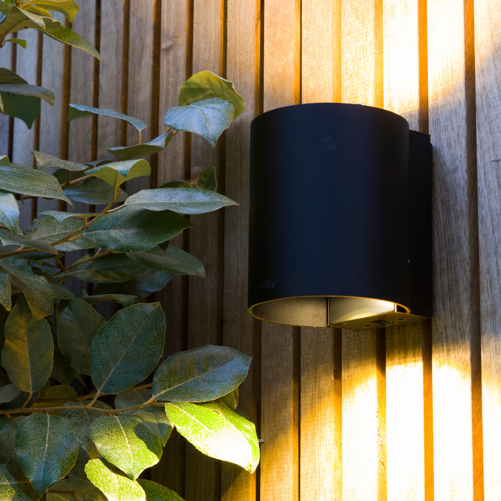 IN-LITE Halo Up/Down 12v Wall Light - Black