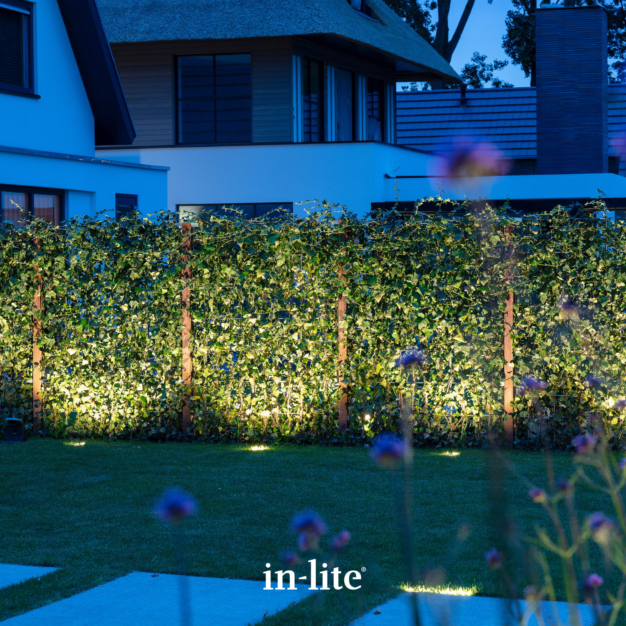 IN-LITE Luna 12v Asymmetric Recessed Light - Black