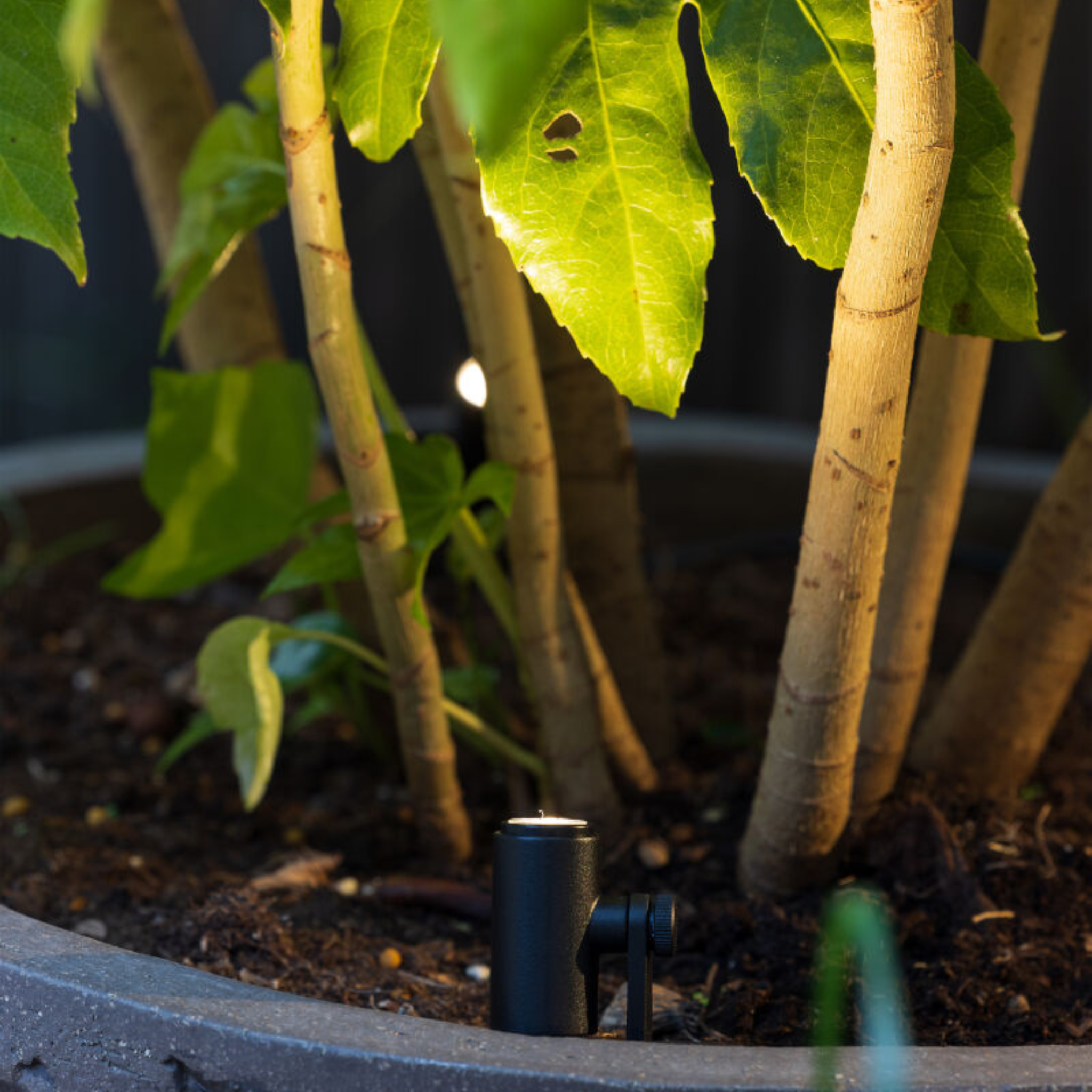 IN-LITE Micro Scope 12v Spike Spot - Black