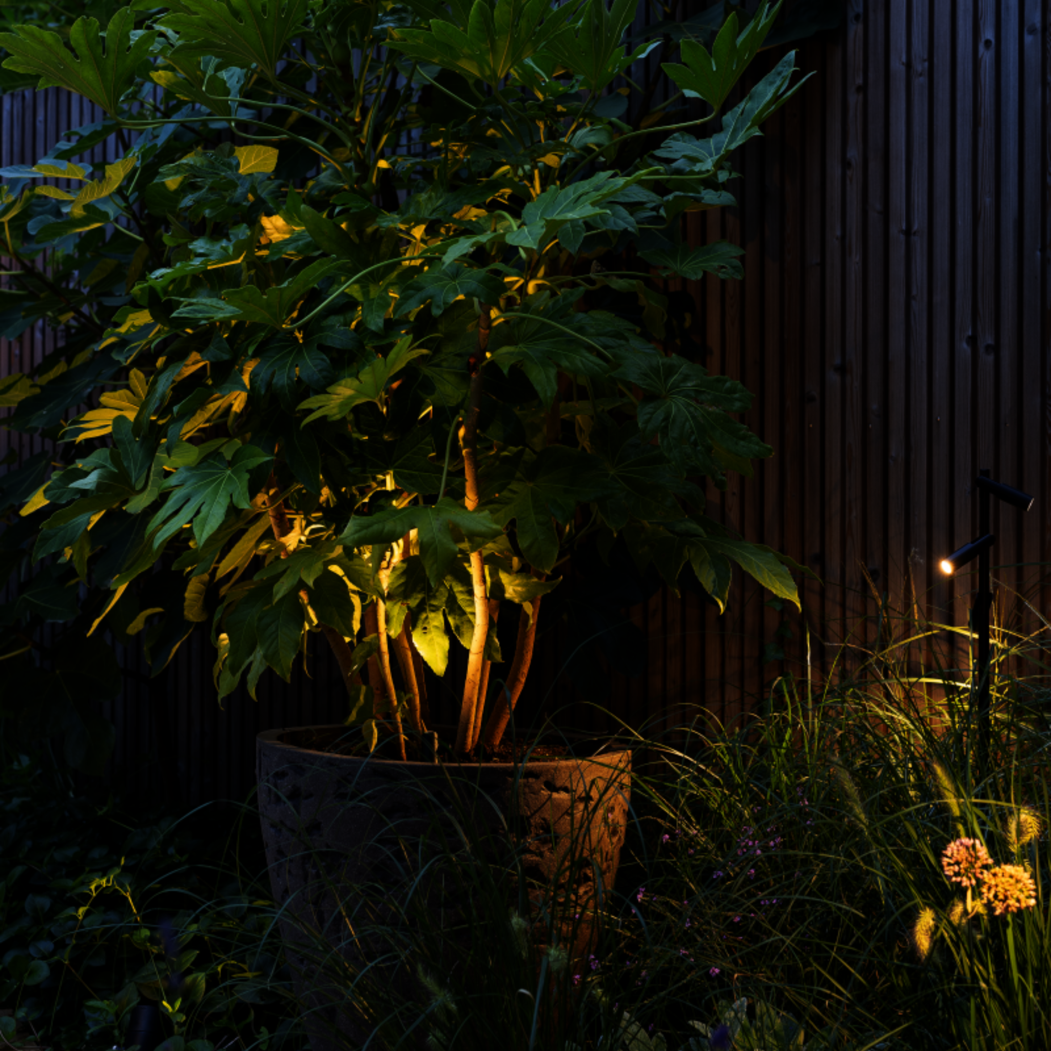 IN-LITE Micro Scope 12v Spike Spot - Black