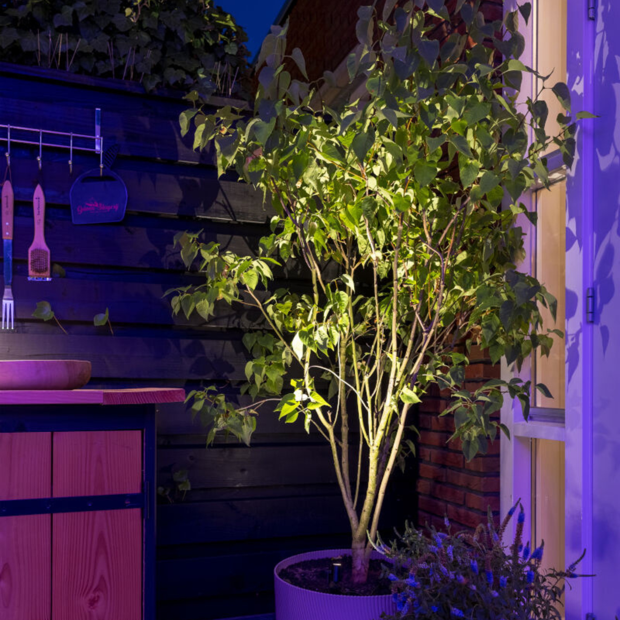 IN-LITE Micro Scope 12v Spike Spot - Black