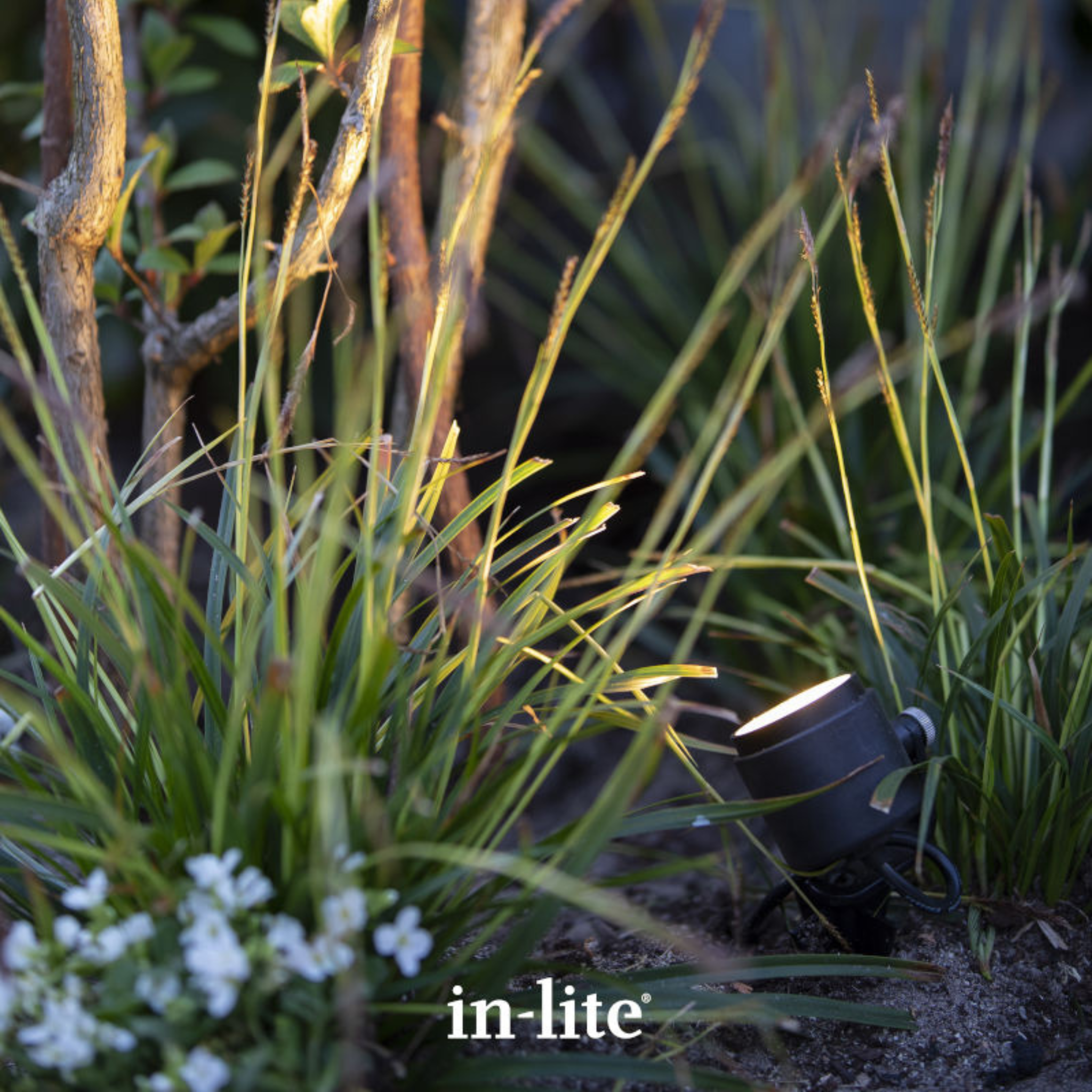 IN-LITE Mini Scope 12v Spike Spot - Black