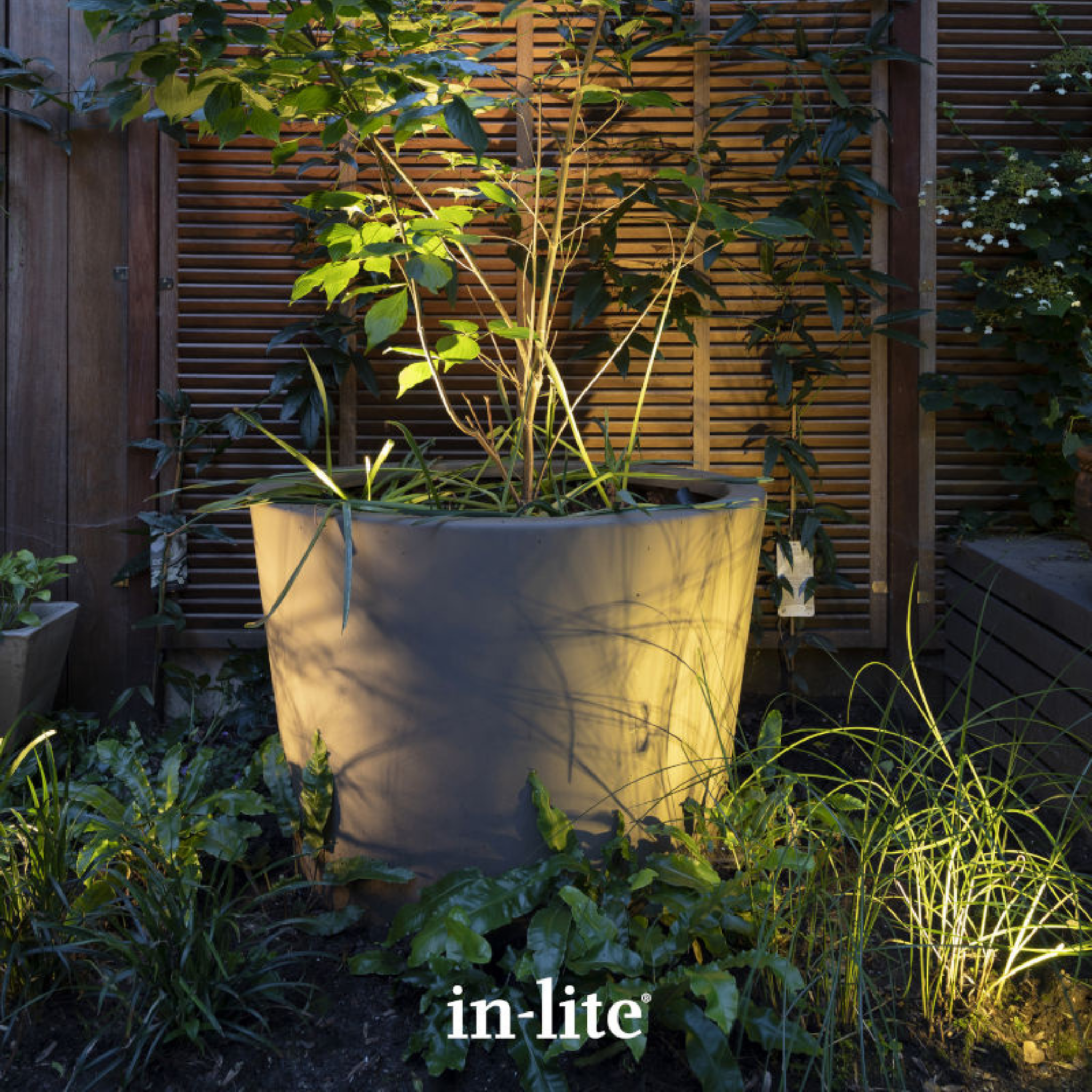 IN-LITE Mini Scope 12v Spike Spot - Black