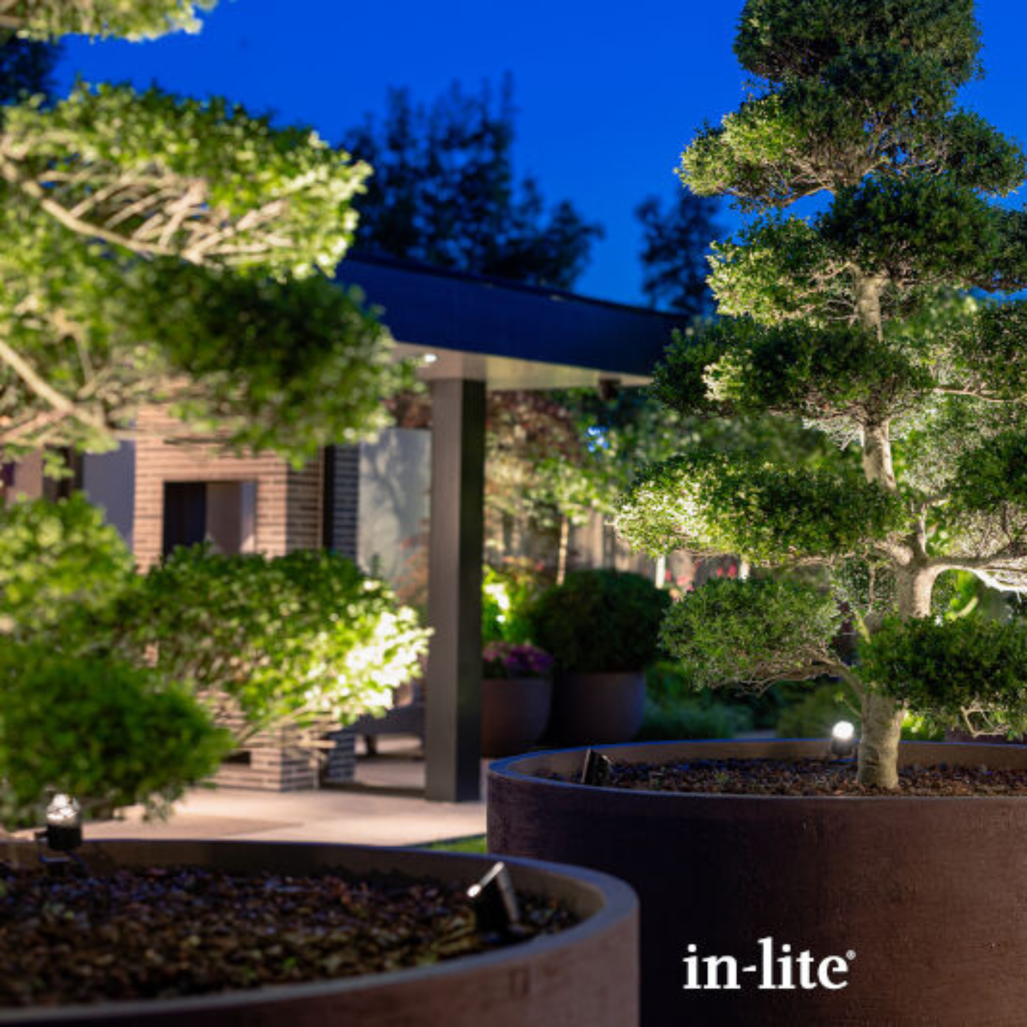 IN-LITE Mini Scope 12v Spike Spot - Black