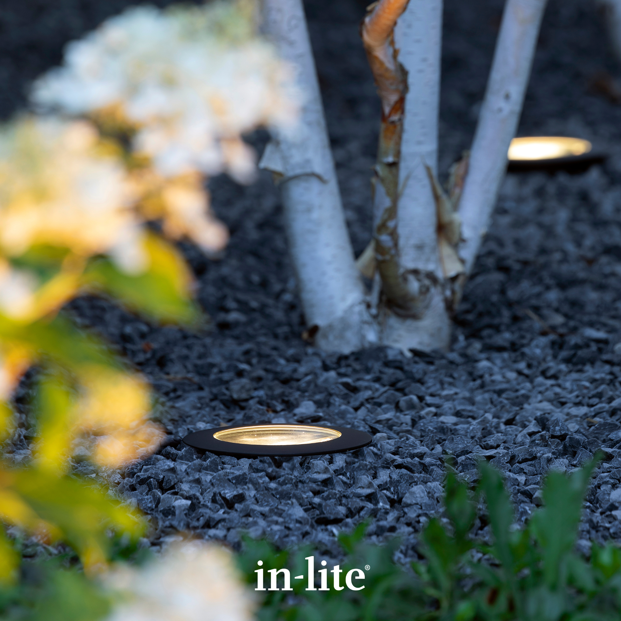 IN-LITE Nero 12v Recessed Light - Black