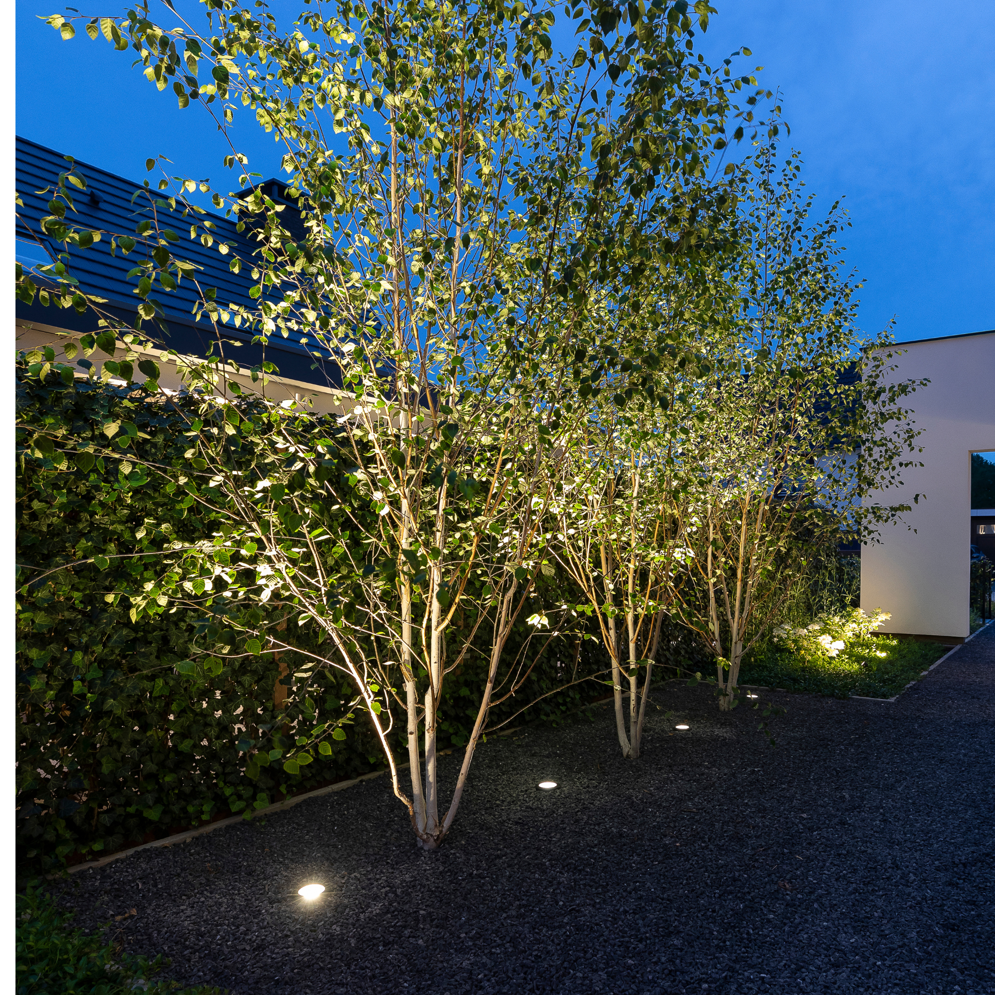 IN-LITE Nero 12v Recessed Light - Black