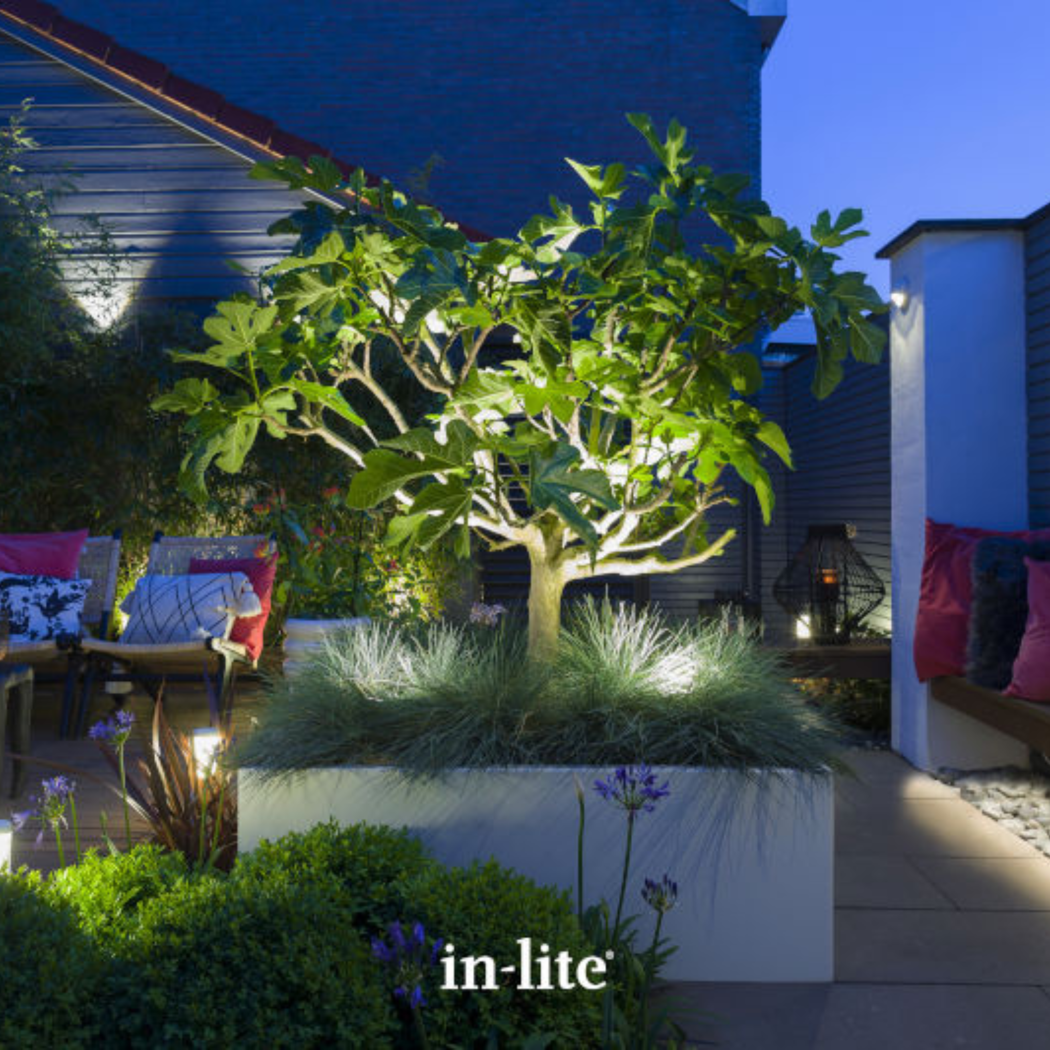 IN-LITE Scope 12v Spike Spot - Black