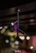 In-Lite AIM CEILING Adjustable Ceiling Light - Black IN-LITE