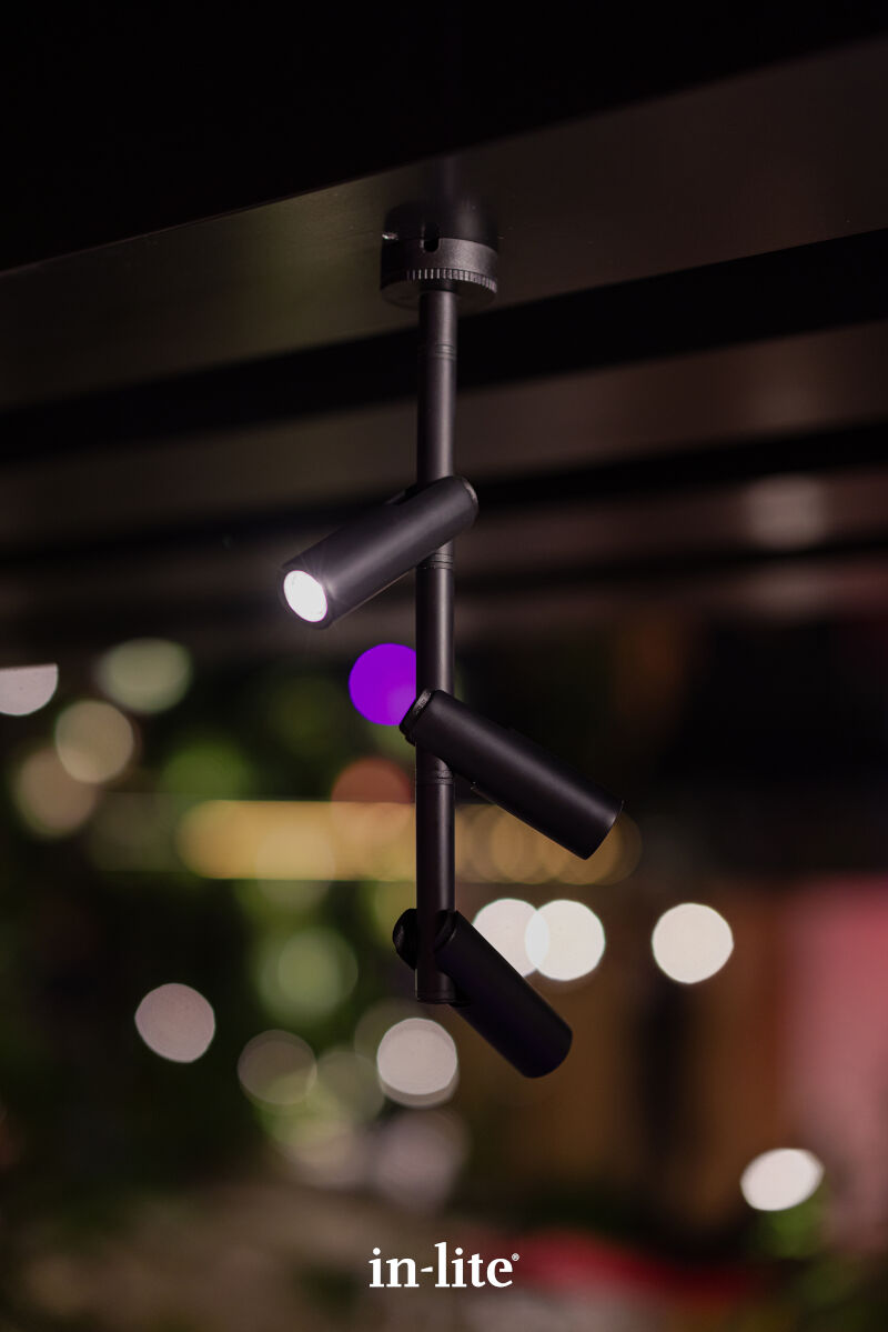 In-Lite AIM CEILING Adjustable Ceiling Light - Black IN-LITE