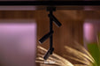In-Lite AIM CEILING Adjustable Ceiling Light - Black IN-LITE