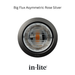 In-Lite BIG FLUX Recessed Light IN-LITE