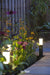 In-Lite LIV LOW Bollard Light - 372mm IN-LITE