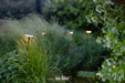 In-Lite SWAY Spike Light - Black IN-LITE