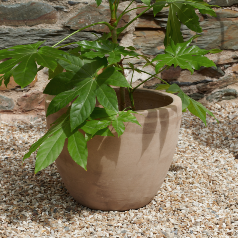 Nkuku Affiti Clay Planter - Medium (30 H x 40 W cm)
