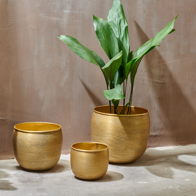 Nkuku Tembesi Etched Planter - Antique Black & Brass / Antique Brass (Large)