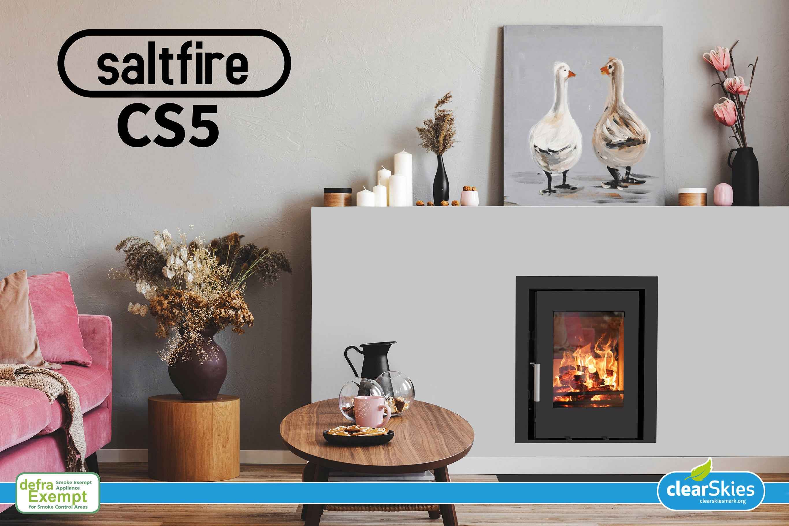 Saltfire CS5 Cassette 5kW Inset Stove Saltfire