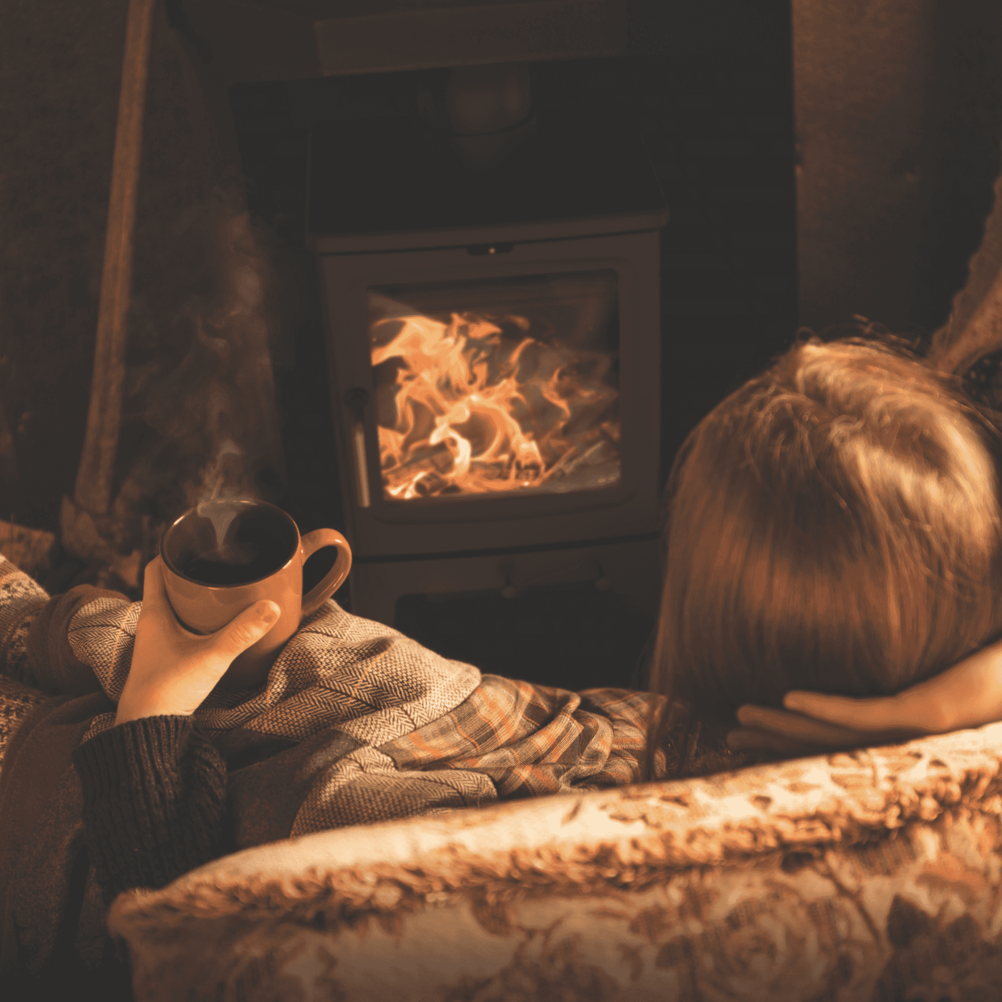 Saltfire Peanut 5 5kW Wood Burning Stove Saltfire